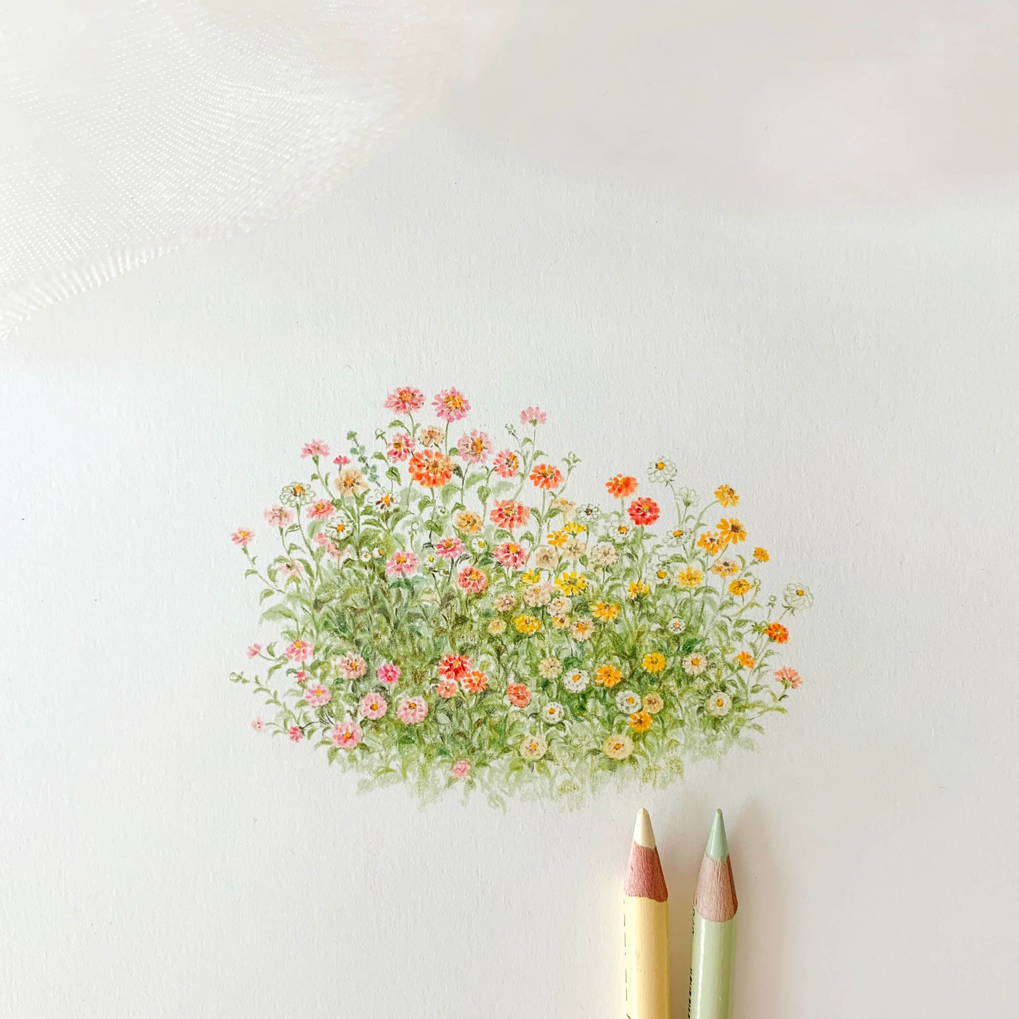 colored pencil flowers drawing and coloring pencils